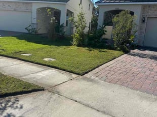 Dioiolisio O.'s turf care service result