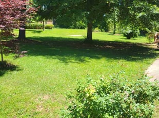 Tyrone B.'s grass cutting service result
