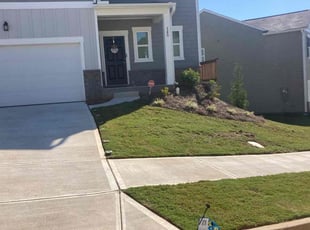 Suzanne G.'s turf maintenance service result