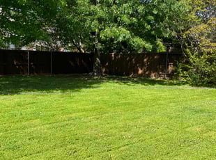 Chase B.'s turf maintenance service result