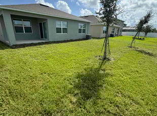 Alican O.'s lawn care service result