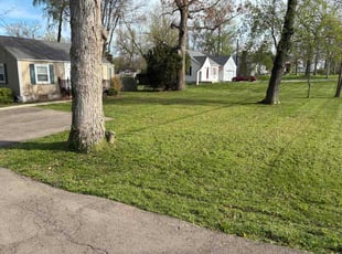 Kelly H.'s lawn service service result