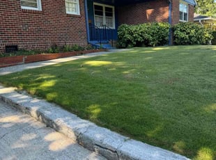 Ethan T.'s grass cutting service result