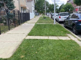 Lindsey C.'s Cleanups service result