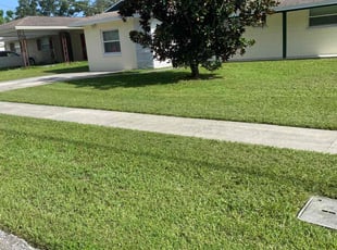 Joyce T.'s lawn care services service result