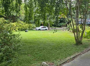 Felicia B.'s lawn maintenance service result