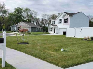 Dominique J.'s lawn care services service result