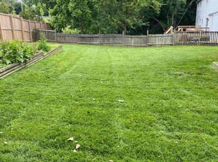 Brent C.'s lawn maintenance service result