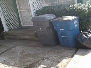 Mystique M.'s Bush Trimming service result