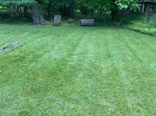 Greg G.'s lawn service service result