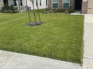 Scott W.'s lawn maintenance service result
