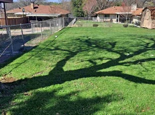 Lance M.'s grass maintenance service result