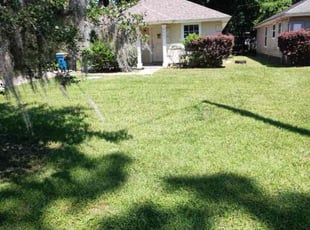 Asiya M.'s turf maintenance service result