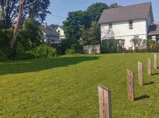 Irene P.'s turf care service result