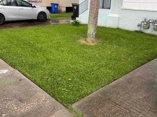 Shelly G.'s turf maintenance service result