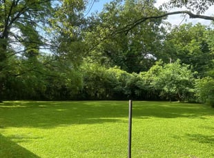 Denise S.'s lawn maintenance service result