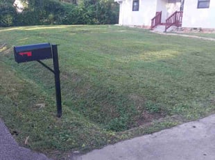 Brian B.'s grass cutting service result