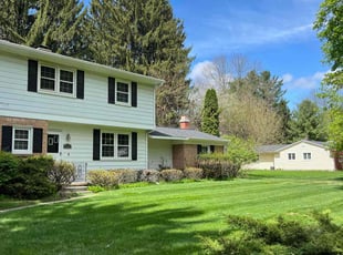 Harry H.'s grass cutting service result