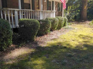 Laquita L.'s Bush Trimming service result