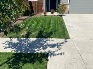 Sachin C.'s lawn care services service result