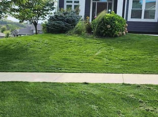 Maryjane P.'s grass cutting service result