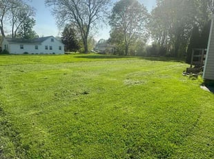 Mark C.'s lawn care service result