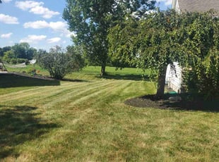 Kim H.'s turf care service result