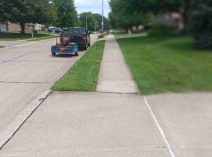 Nicole R.'s grass cutting service result