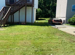 Michele S.'s lawn care services service result
