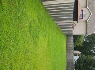 Allie J.'s grass maintenance service result