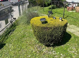 Richard P.'s grass maintenance service result