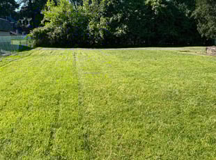 Sara C.'s lawn care service result