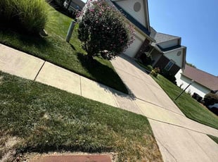 Marilyn P.'s lawn care service result