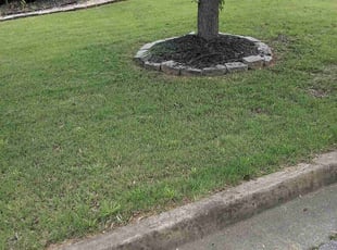 Rebecca T.'s grass maintenance service result