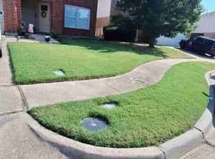 Paul F.'s lawn service service result