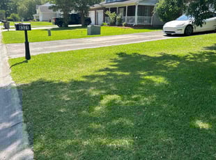 Mary H.'s grass maintenance service result