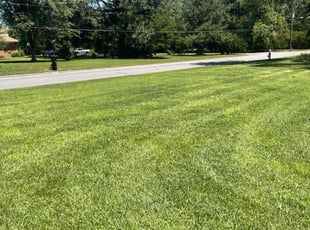 John F.'s lawn care services service result