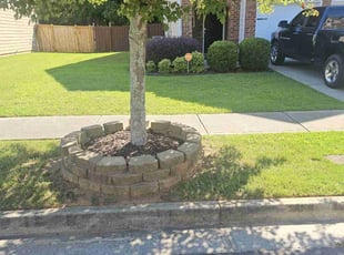 Camie T.'s lawn maintenance service result