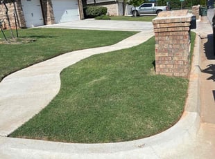 David M.'s grass cutting service result