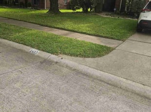John A.'s grass cutting service result