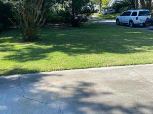 Merrisa B.'s lawn care service result