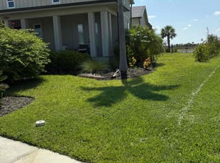 Ginger W.'s grass maintenance service result