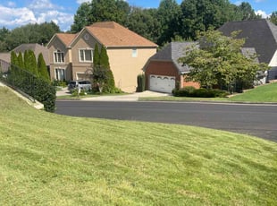 Melissa M.'s turf care service result