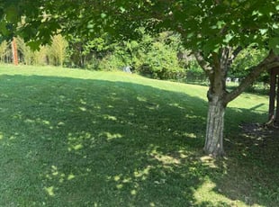 Ronald C.'s lawn service service result