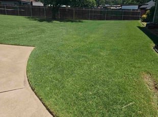 Shiloh F.'s turf maintenance service result