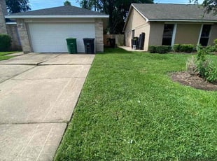 Lynne C.'s lawn care service result