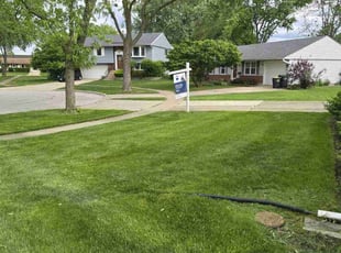 Veronica T.'s lawn maintenance service result