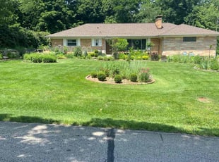 Michelle M.'s turf care service result