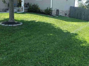 Jan A.'s grass maintenance service result