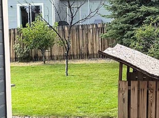 Nichole T.'s lawn care services service result